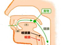 嚥下障害とは